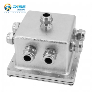 IP68 316L Stainless Steel Junction Box 