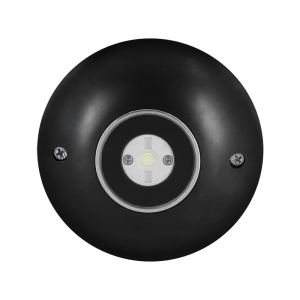 Outdoor 9W 316L Stainless Steel IP68 Marine 12V24V LED pool Light 