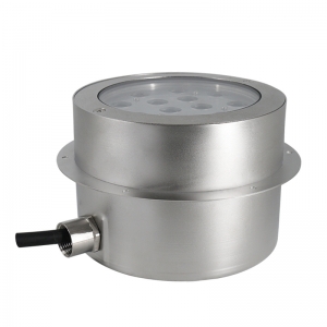 316L stainless steel niche Wall recessed or Buried lighting underwater LED swimming pool light 
