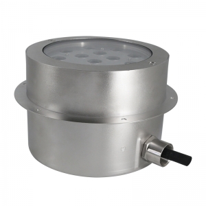 316L stainless steel niche Wall recessed or Buried lighting underwater LED swimming pool light 