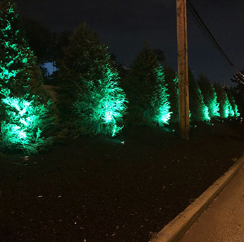 LED Garden Spot/Landscape Lights