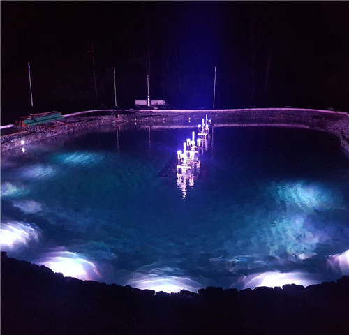 Feedback of Pond Fountain led lights from Austria Customer