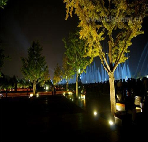 316 stainless steel Outdoor garden lighting led inground tree lights 